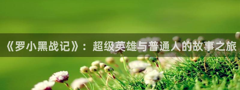 里番动漫在线视频观看：《罗小黑战记》：超级英雄与普通人的故事之旅配图