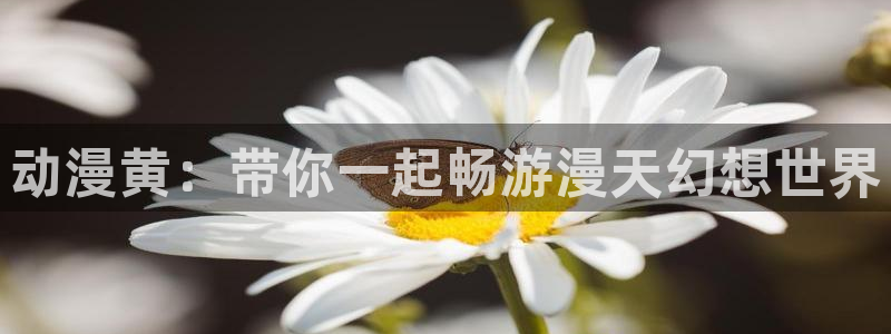 里番孕动漫在线观看：动漫黄：带你一起畅游漫天幻想世界配图