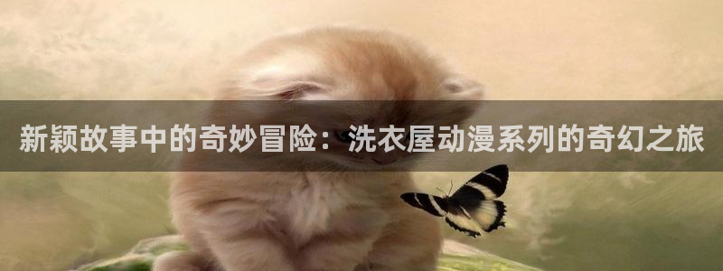 里番肉片动漫在线观看：新颖故事中的奇妙冒险：洗衣屋动漫系列的奇幻之旅配图