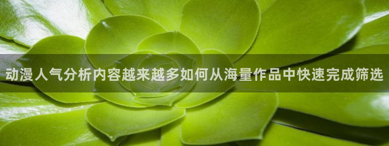 里番肉片动漫在线观看：动漫人气分析内容越来越多如何从海量作品中快速完成筛选配图