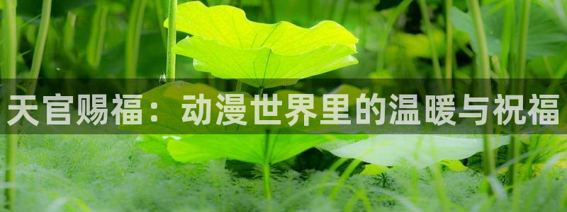 3动漫里番在线观看：天官赐福：动漫世界里的温暖与祝福配图