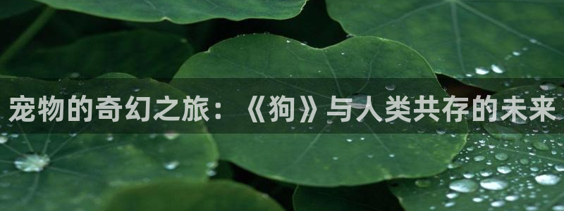 中文里番动漫在线观看：宠物的奇幻之旅：《狗》与人类共存的未来配图