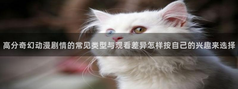 里番男男在线观看动漫：高分奇幻动漫剧情的常见类型与观看差异怎样按自己的兴趣来选择配图