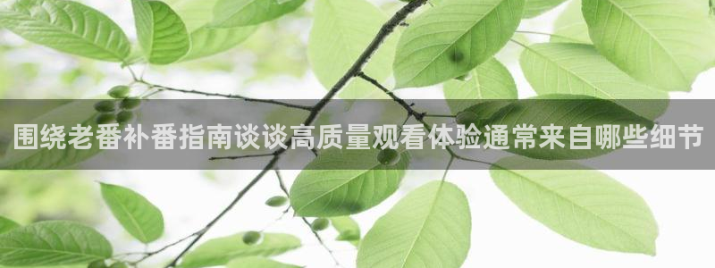 动漫在线里番观看：围绕老番补番指南谈谈高质量观看体验通常来自哪些细节配图