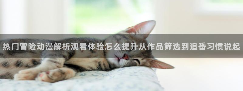 番里动漫漫画在线观看：热门冒险动漫解析观看体验怎么提升从作品筛选到追番习惯说起配图