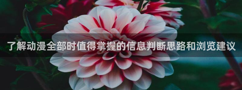 里番 动漫在线观看:了解动漫全部时值得掌握的信息判断思路和浏览建议配图