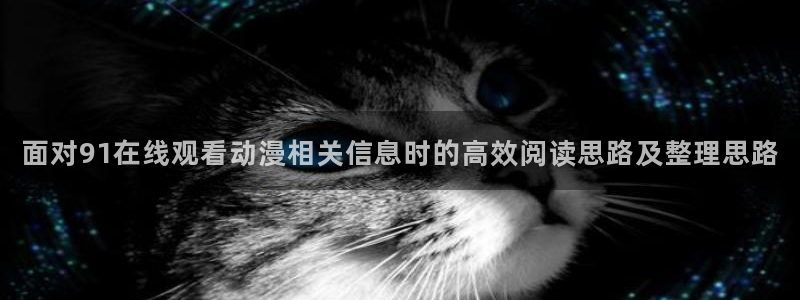 里 番动漫在线观看:面对91在线观看动漫相关信息时的高效阅读思路及整理思路配图