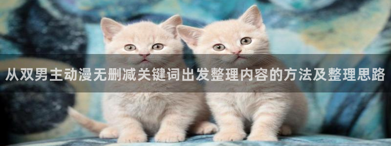 里番动漫A片在线观看:从双男主动漫无删减关键词出发整理内容的方法及整理思路配图
