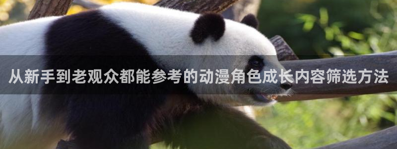 动漫里番在线观看:从新手到老观众都能参考的动漫角色成长内容筛选方法配图
