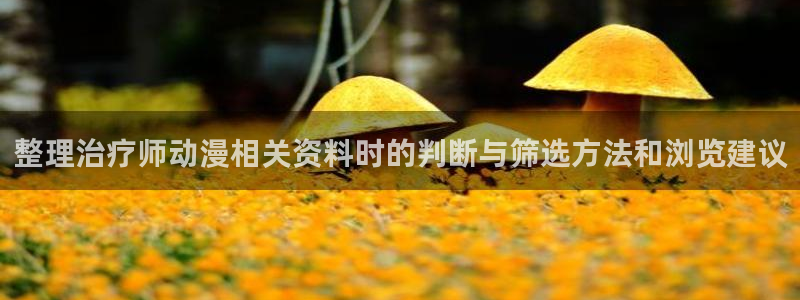 旧旧里番动漫在线观看：整理治疗师动漫相关资料时的判断与筛选方法和浏览建议配图