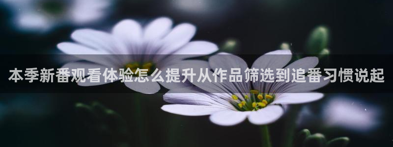 秘汤动漫在线观看里番：本季新番观看体验怎么提升从作品筛选到追番习惯说起配图