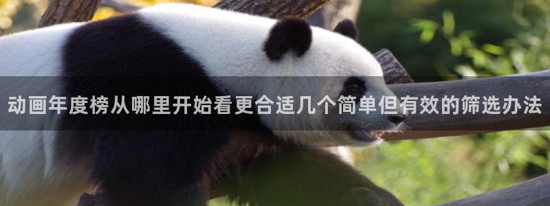 中国里番动漫在线观看:动画年度榜从哪里开始看更合适几个简单但有效的筛选办法配图